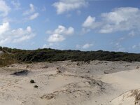 Panorama of sand drift in Dutch dunes; Zeeland , Netherlands  Panorama of sand drift in Dutch dunes; Zeeland , Netherlands : Dutch, Haamstede, Holland, Zeeland, Netherlands, dune, sand drift, dunes, nature, natural, nature reserve, rural landscape, sand, sandy, summer, summertime, outside, outdoors, nobody, no people, rural scene, non-urban scene, blue sky, white clouds, cloudscape, skyscape, beauty in nature, scenic, Europe, European, panorama, panoramic, Schouwen-Duiveland
