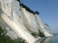 DK, Sjaelland, Vordingborg, Moens Klint South 5, Saxifraga-Jan van der Straaten