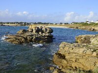 F, Morbihan, Tregunc, Pointe de Trevignon 1, Saxifraga-Theo Verstrael