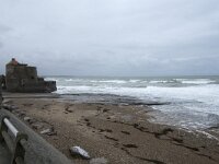 F, Pas-de-Calais, Ambleteuse 34, Saxifraga-Willem van Kruijsbergen