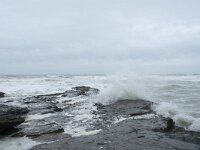 F, Pas-de-Calais, Ambleteuse 47, Saxifraga-Willem van Kruijsbergen