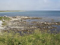 N, Nordland, Andoy, Dverberg 6, Saxifraga-Willem van Kruijsbergen