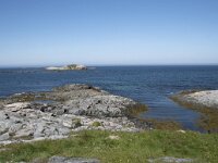 N, Nordland, Andoy, Kleivodden 3, Saxifraga-Willem van Kruijsbergen