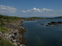 N, Nordland, Bodo, Godoynes 8, Saxifraga-Jan van der Straaten