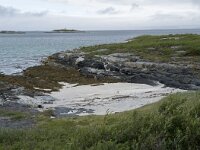 N, Troms, Tromso, Sommaroy 17, Saxifraga-Willem van Kruijsbergen