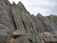 E, Cantabria, Liencres, Punta del Pino 71, Saxifraga-Willem van Kruijsbergen
