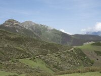 E, Cantabria, Vega de Liebana, Puerto de San Glorio 5, Saxifraga-Willem van Kruijsbergen