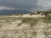 E, Cadiz, Tarifa 30, Saxifraga-Willem van Kruijsbergen