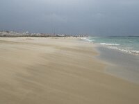 E, Cadiz, Tarifa 37, Saxifraga-Willem van Kruijsbergen