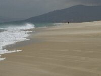 E, Cadiz, Tarifa 42, Saxifraga-Willem van Kruijsbergen