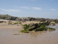 E, Cantabria, Liencres, Dunas de Liencres 18, Saxifraga-Willem van Kruijsbergen