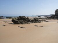 E, Cantabria, Liencres, Dunas de Liencres 6, Saxifraga-Willem van Kruijsbergen