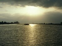 E, Taragona, Deltebre, Ebro 1, Saxifraga-Jan van der Straaten