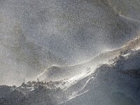 NL, Noord-Holland, Texel 87, Saxifraga-Foto Fitis-Sytske Dijksen