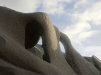 NL, Noord-Holland, Texel, Paal 10 7, Saxifraga-Foto Fitis-Sytske Dijksen