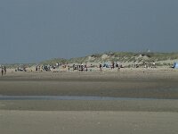 NL, Noord-Holland, Texel, Paal 28 12, Saxifraga-Willem van Kruijsbergen