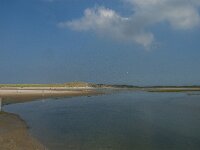 NL, Noord-Holland, Texel, Slufter 42, Saxifraga-Jan van der Straaten