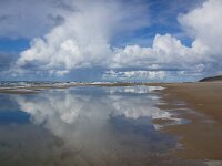 NL, Noord-Holland, Texel, paal 9 24, Saxifraga-Foto Fitis-Sytske Dijksen