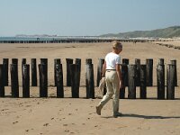 NL, Zeeland, Zoutelande 2, Saxifraga-Jan van der Straaten