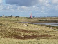 NL, Noord-Holland, Den Helder, Grafelijkheidsduinen 3, Saxifraga-Foto Fitis-Sytske Dijksen