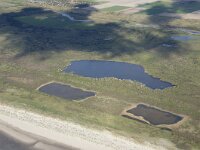 NL, Noord-Holland, Texel, De Muy 39, Saxifraga-Foto Fitis-Sytske Dijksen