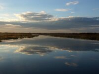 NL, Noord-Holland, Texel, Groote Vlak 16, Saxifraga-Foto Fitis-Sytske Dijksen