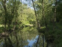 B, Liege, Plombieres 38, Saxifraga-Willem van Kruijsbergen