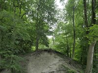 B, Limburg, Voeren, Teuvenerberg 4, Saxifraga-Tom Heijnen