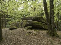 F, Nievre, Dun-les-Places, Dolmen Chevresse 5, Saxifraga-Willem van Kruijsbergen