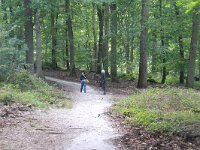 F, Seine et Marne, Barbizon, Foret de Fontainebleau 4, Saxifraga-Jan C. van der Straaten