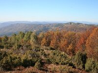 GR, Anatoliki Makedonia kai Thraki, Xanthi, Livaditis 36, Saxifraga-Dirk Hilbers