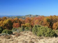 GR, Anatoliki Makedonia kai Thraki, Xanthi, Livaditis 38, Saxifraga-Dirk Hilbers