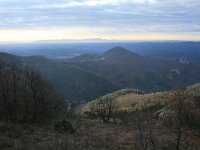 GR, Evros, Soufli, Dadia forest 19 Saxifraga-Dirk Hilbers