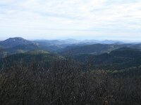 GR, Evros, Soufli, Dadia forest 26, Saxifraga-Dirk Hilbers