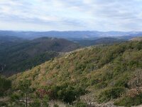 GR, Evros, Soufli, Dadia forest 28, Saxifraga-Dirk Hilbers