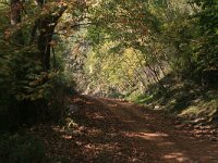 GR, Kentrikí Makedhonía, Sindiki, Ano Porroia 9, Saxifraga-Dirk Hilbers