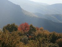 GR, Xanthia, Stavroupoli 12, Saxifraga-Dirk Hilbers