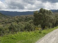 E, Cadiz, Jimena de la Frontera, Alcornocales 19, Saxifraga-Jan van der Straaten