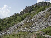 E, Cantabria, Camaleno, Brez 17, Saxifraga-Willem van Kruijsbergen