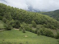 E, Cantabria, Camaleno, Brez 7, Saxifraga-Willem van Kruijsbergen