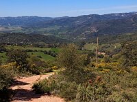 E, Malaga, Gaucin 1, Saxifraga-Hans Dekker