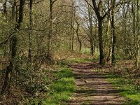 NL, Drenthe, Midden-Drenthe, Orvelte 2, Saxifraga-Hans Dekker