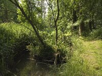 NL, Noord-Brabant, Baarle-Nassau, Halsche Beemden 154, Saxifraga-Willem van Kruijsbergen