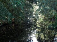 NL, Zuid-Holland, Midden-Delfland, Ackerdijkse Plassen 4, Saxifraga-Bart Vastenhouw