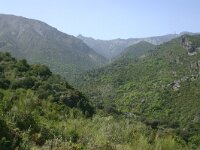 E, Cadiz, Zahara de la Sierra, Garganta Verde 4, Saxifraga-Dirk Hilbers