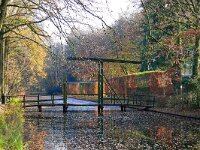 NL, Noord-Brabant, Heeze-Leende, Herbertusbossen 1, Saxifraga-Tom Heijnen