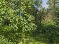 NL, Noord-Brabant, Altena, Jannezand 20, Saxifraga-Jan van der Straaten