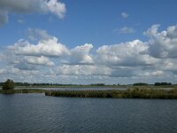 NL, Noord-Brabant, Altena, Polder Maltha 12, Saxifraga-Jan van der Straaten