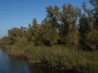 NL, Noord-Brabant, Altena, Rupsenhoek 1, Saxifraga-Jan van der Straaten