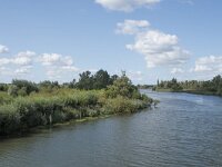 NL, Noord-Brabant, Drimmelen, Gat van Honderd en Dertig 14, Saxifraga-Willem van Kruijsbergen